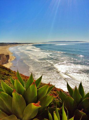 Pismo Lighthouse Suites - image 2