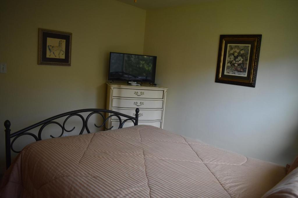 331 San Luis - image 2