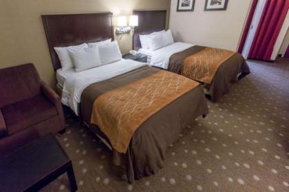 Comfort Inn Pittsburgh - image 3