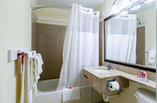 Econo Lodge Pittsfield - image 3