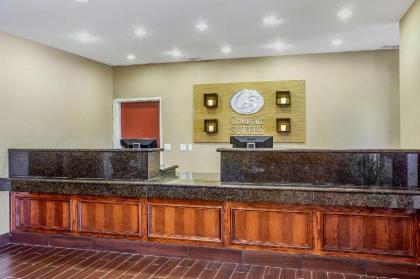 Comfort Suites Plainview - image 2