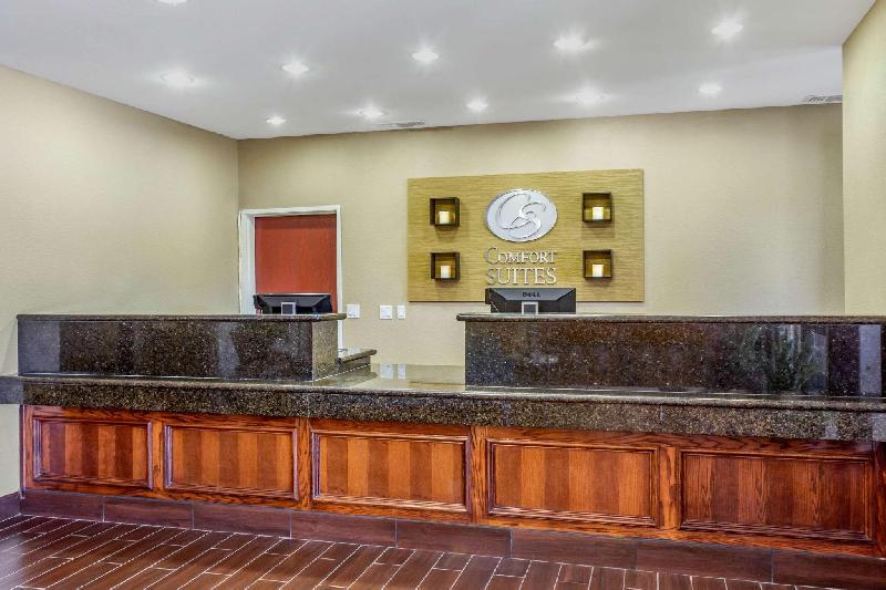 Comfort Suites Plainview - image 2