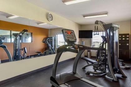 Comfort Suites Plainview - image 7