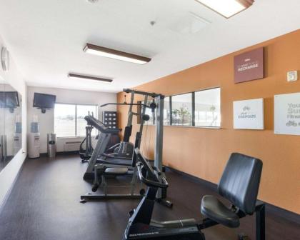 Comfort Suites Plainview - image 8