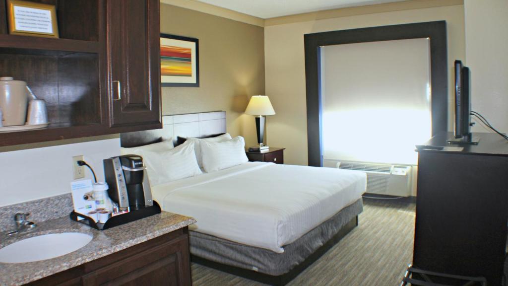 Holiday Inn Express Hotel & Suites Plainview an IHG Hotel - image 3