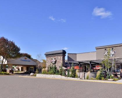 Comfort Inn Plymouth-Minneapolis - image 21