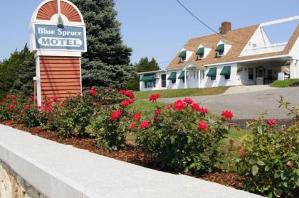 Blue Spruce motel  townhouses