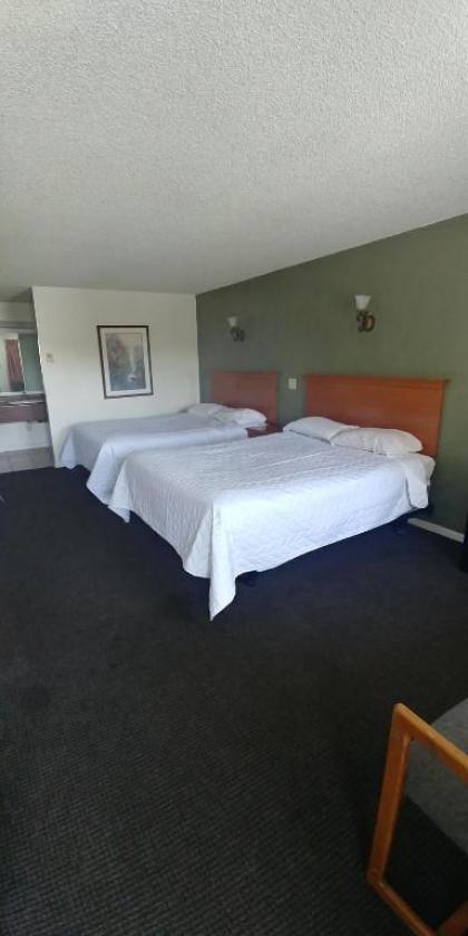 thunderbird motel