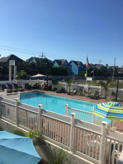 Dunes by the Ocean New Jersey