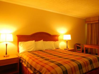 Lemon Tree Motel - image 10