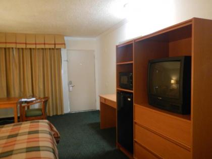 Lemon Tree Motel - image 11