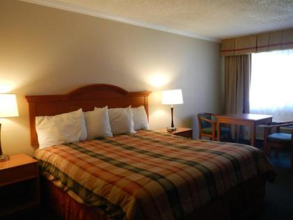 Lemon Tree Motel - image 3