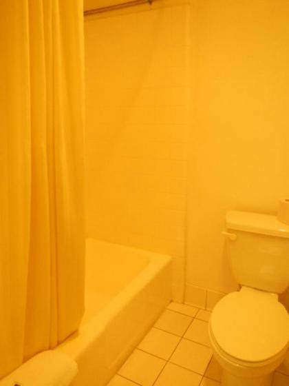 Lemon Tree Motel - image 4