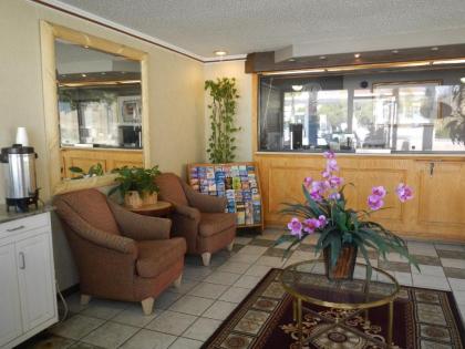 Lemon Tree Motel - image 8
