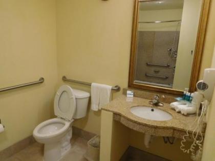 Holiday Inn Express Ponca City an IHG Hotel - image 6