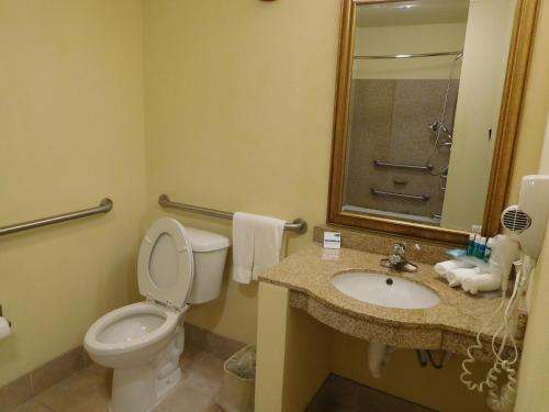 Holiday Inn Express Ponca City an IHG Hotel - image 6