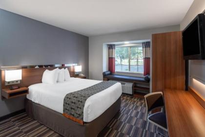 Microtel Inn & Suites by Wyndham Savannah/Pooler - image 5