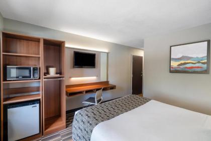 Microtel Inn & Suites by Wyndham Savannah/Pooler - image 8