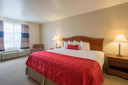 Cottonwood Suites Savannah Hotel & Conference Center - image 12