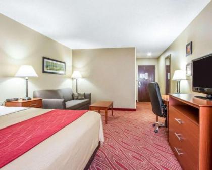 Comfort Inn Poplar Bluff North - image 10
