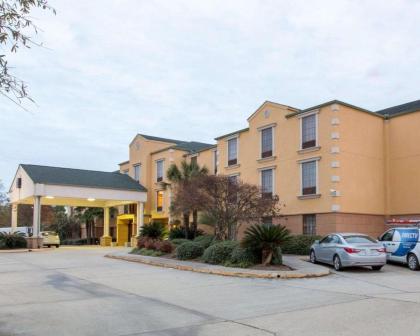 Comfort Suites Port Allen - Baton Rouge - image 15