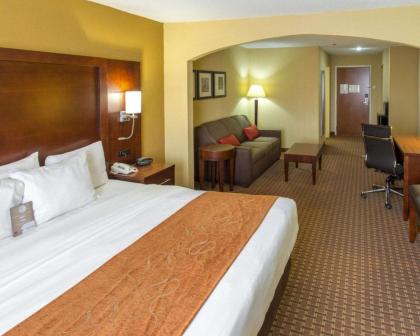 Comfort Suites Port Allen - Baton Rouge - image 5