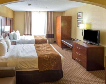Comfort Suites Port Allen - Baton Rouge - image 9