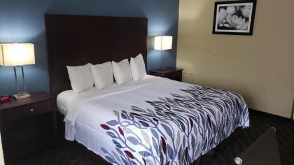 Red Roof Inn Port Allen - image 5