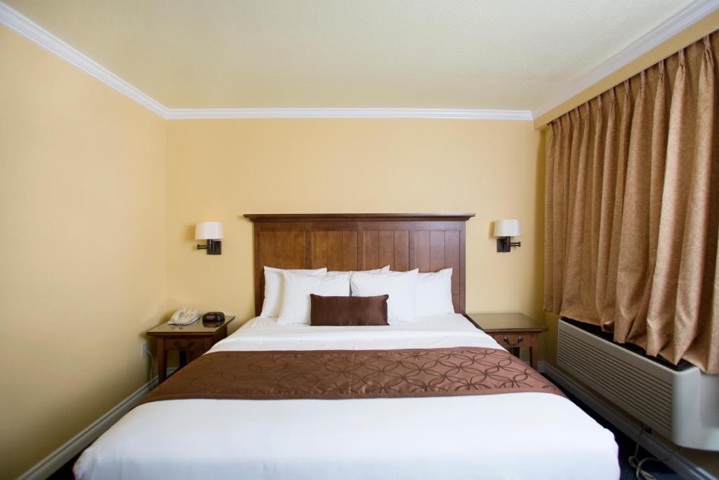 Royal Victorian Motel - image 7