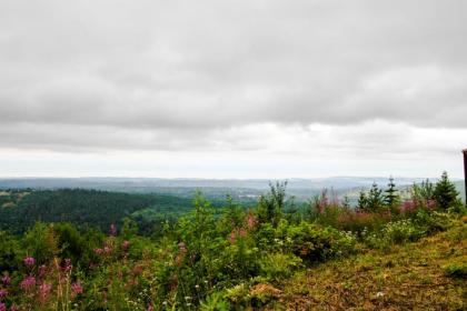 Port Angeles Blue Mountain Lodge with Bunkhouse - image 2