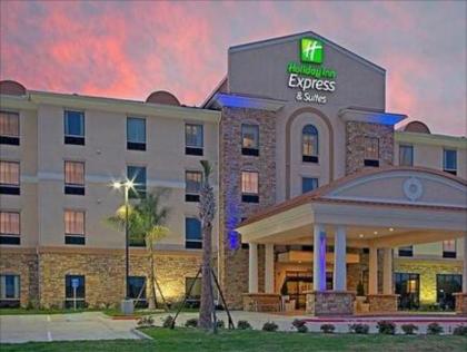 Holiday Inn Express Hotel & Suites Port Arthur - image 10
