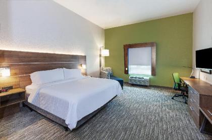 Holiday Inn Express Hotel & Suites Port Arthur - image 6