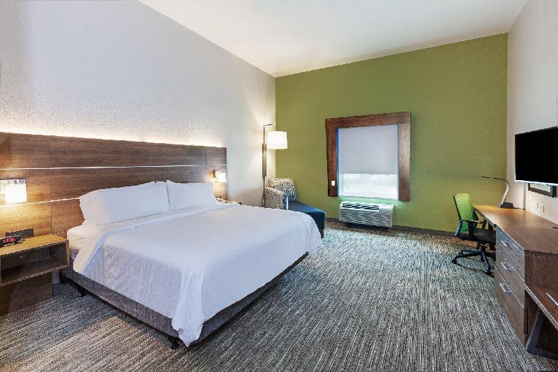 Holiday Inn Express Hotel & Suites Port Arthur - image 6