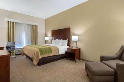 Comfort Inn & Suites Port Arthur - image 4