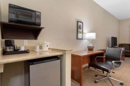 Comfort Inn & Suites Port Arthur - image 5