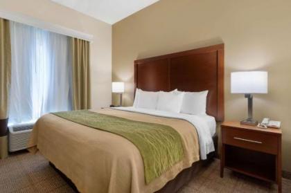 Comfort Inn & Suites Port Arthur - image 7