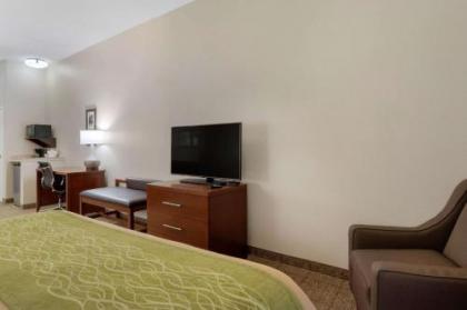 Comfort Inn & Suites Port Arthur - image 9