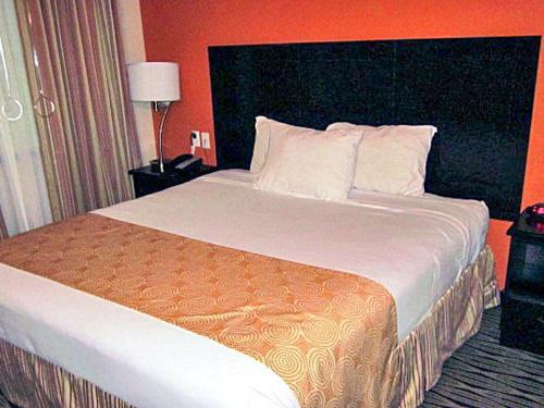 Rodeway Inn & Suites Port Arthur - image 4
