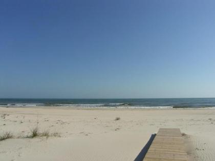 Gulf Pines Pet Friendly by Pristine Properties - image 5