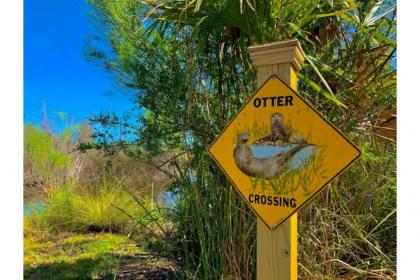 Otter Cove by Pristine Properties - image 17