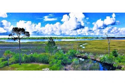 Otter Cove by Pristine Properties - image 4