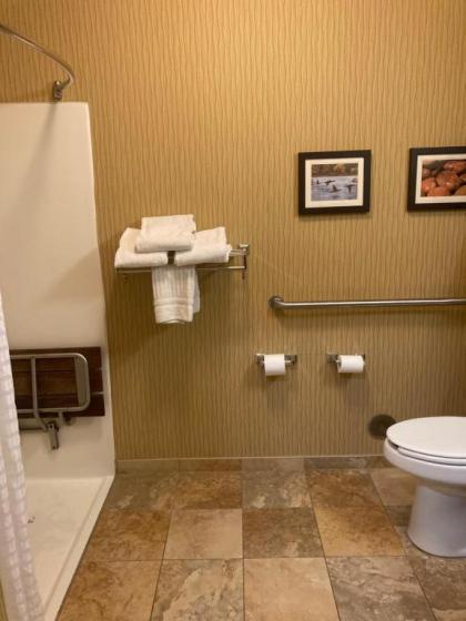 Comfort Inn Wings Stadium - image 5