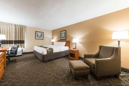 Quality Inn & Suites - image 10