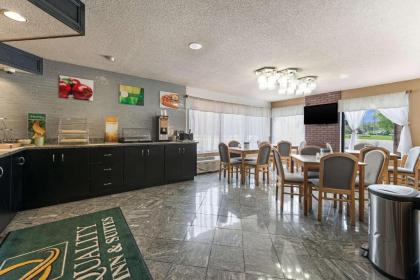 Quality Inn & Suites - image 7