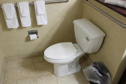 Best Western Plus Portage Hotel and Suites - image 13