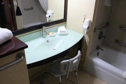 Best Western Plus Portage Hotel and Suites - image 14