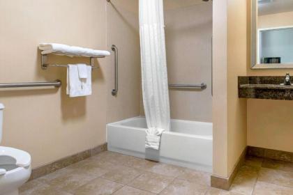 Comfort Inn & Suites Near Indiana Dunes State Park - image 12