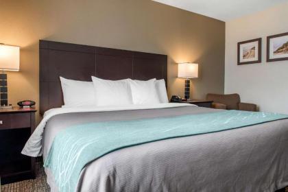 Comfort Inn & Suites Near Indiana Dunes State Park - image 14
