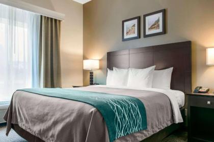 Comfort Inn & Suites Near Indiana Dunes State Park - image 2