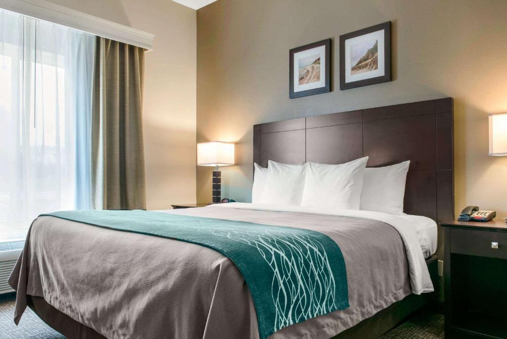 Comfort Inn & Suites Near Indiana Dunes State Park - image 2
